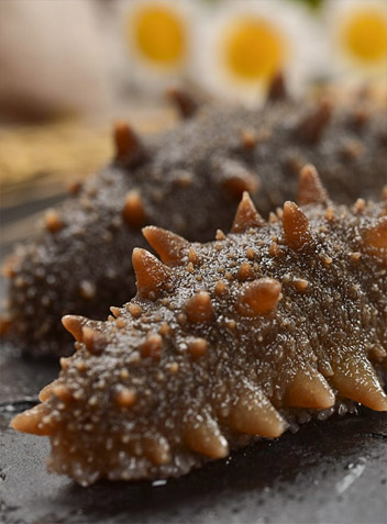 烟台海中宝海参市场：海参批发的黄金枢纽