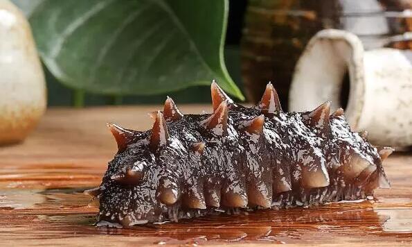 大雪节气，温补养生海参是主角