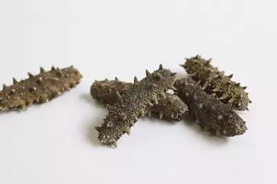 如何鉴别糖干、盐干、淡干海参？