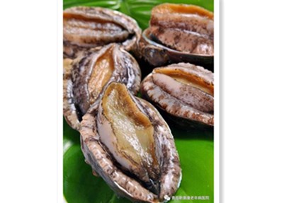 鲍鱼的营养价值是什么 ？你知道吗？