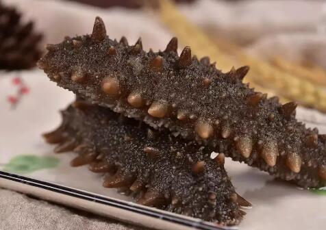 海参的生长年限和营养有关吗?