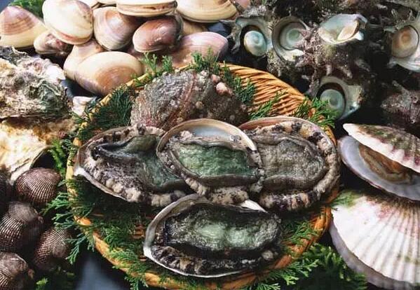 鲍鱼该如何清洗？鲍鱼如何挑选