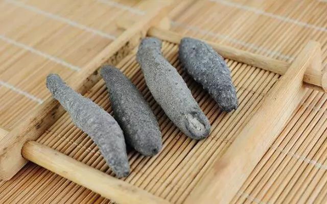 开学季喜迎新学期，孩子补身体吃海参好不好？