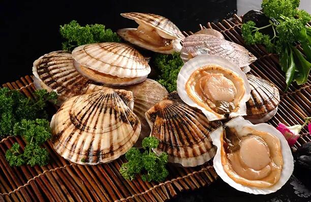扇贝虽然鲜美，但这两个部位是不能吃的