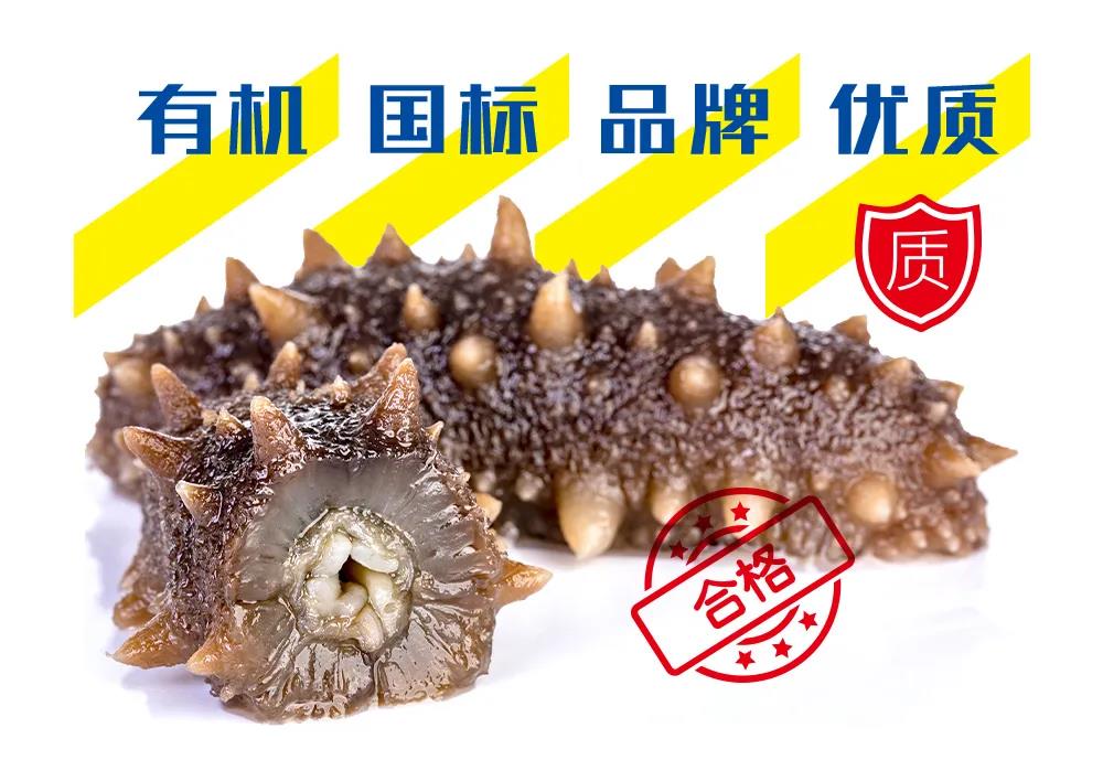 海宝快讯丨省市场监管局发布公告，严格规范海参生产经营