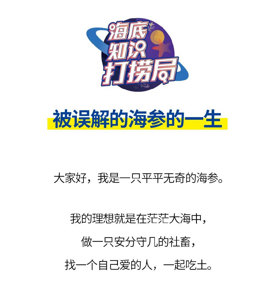 被误解的海参的一生