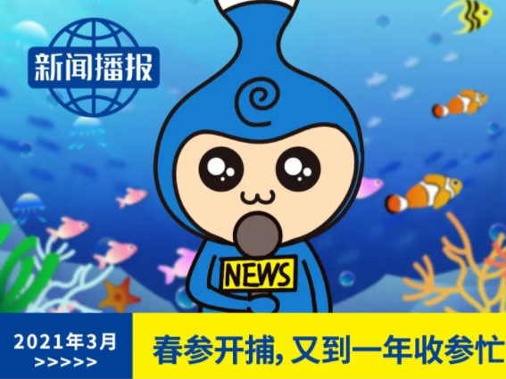 新鲜春参即将抵达，价格上涨将是必然！