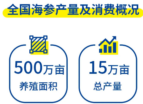 2020年中国海参行业数据，2021年又将有哪些热点