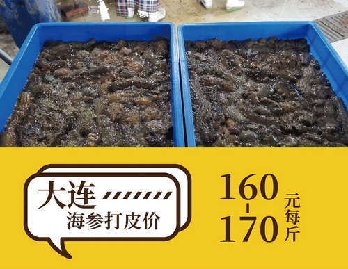 没有悬念，海参价格涨定了